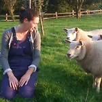 Het Geheim Отель типа 