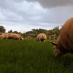 Alojamento de Acomodação e Pequeno-almoço Het Geheim 3*