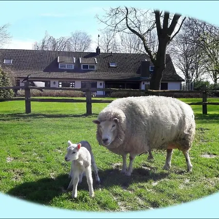 Het Geheim Bed & Breakfast Merselo